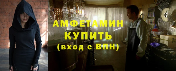 дурь Инсар