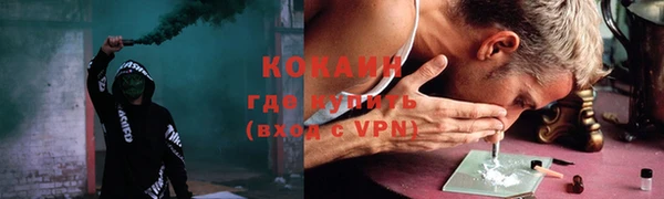 дурь Инсар