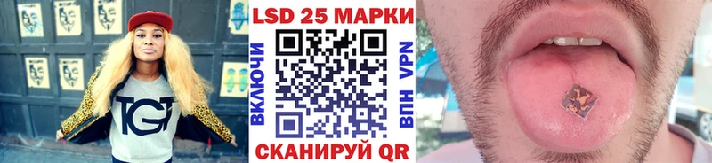 закладка Мостовской Марки N-bome 1500мкг